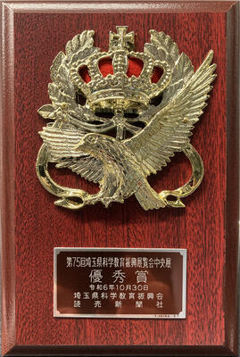 盾