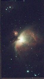 M42