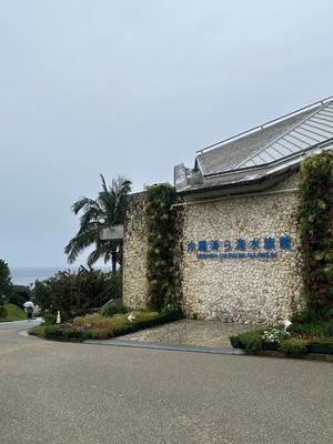 美ら海①