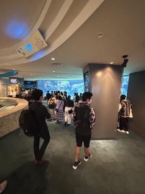 美ら海②