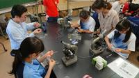 海洋生物探究合宿 実験中の一コマ