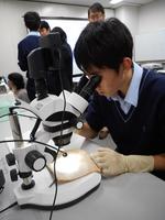 つくば研修 NIMSでの実験中の一コマ