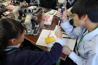お茶の水女子大学での実験中の一コマ