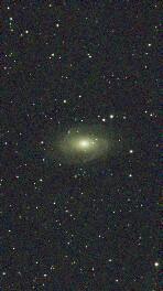 M81 渦巻星雲